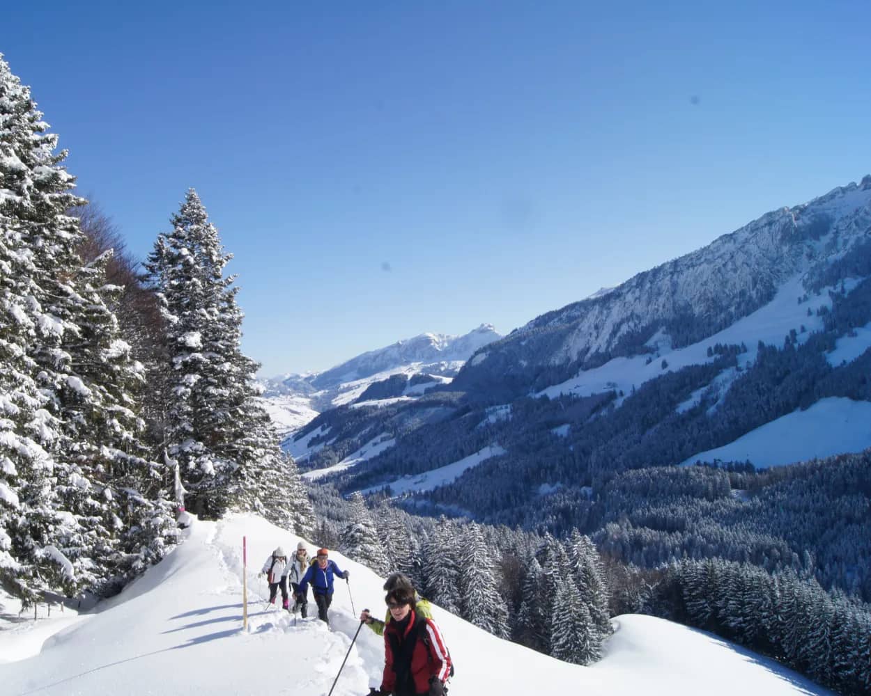 Lehmen–Kronberg Trail
