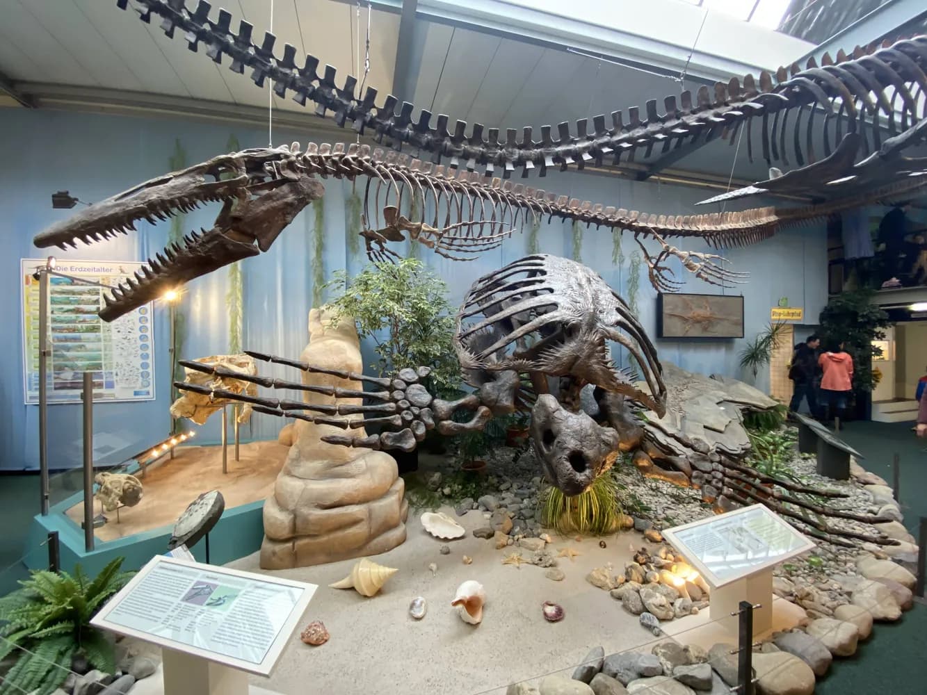 Sauriermuseum Aathal