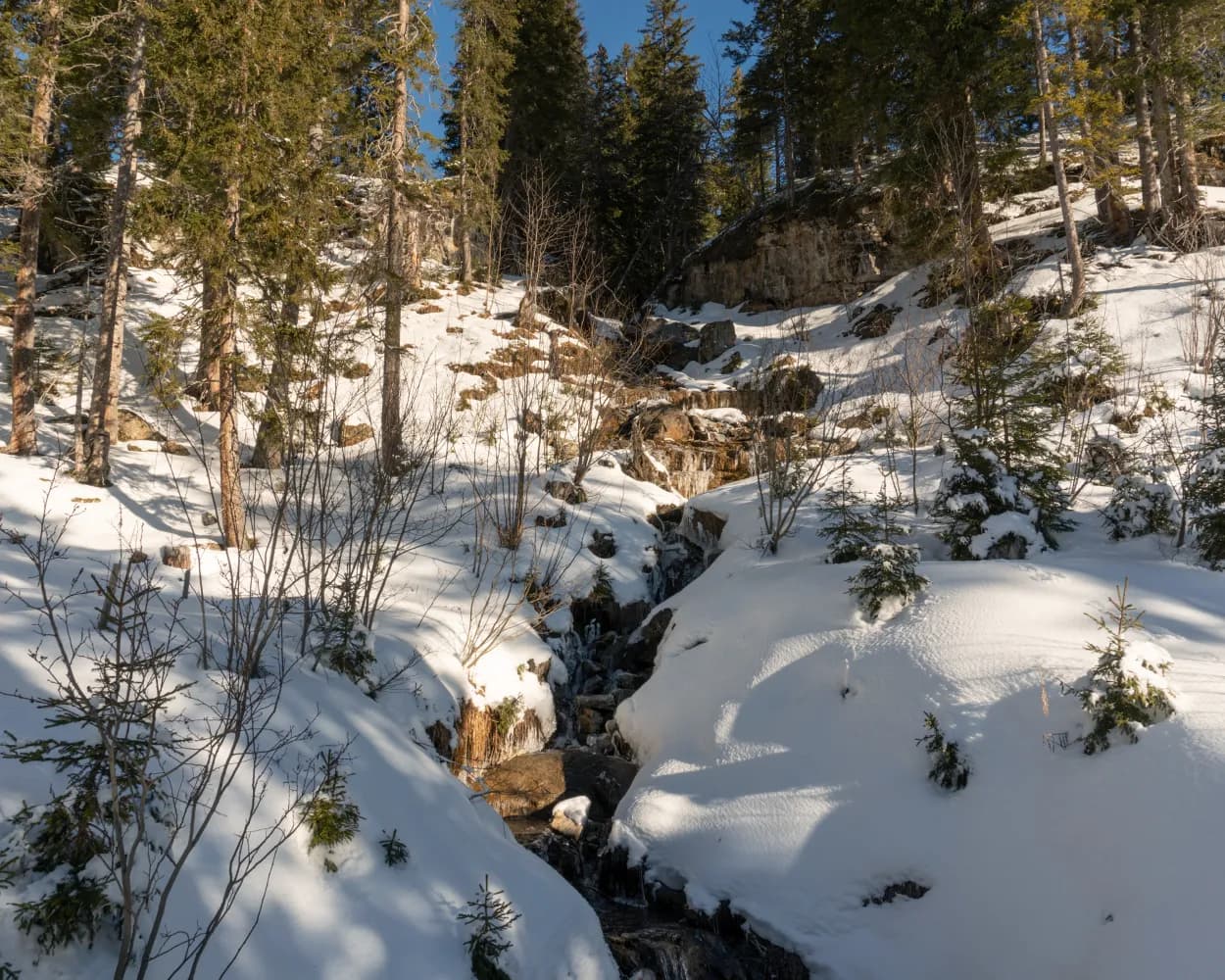 Prodalp-Panüöl-Weg