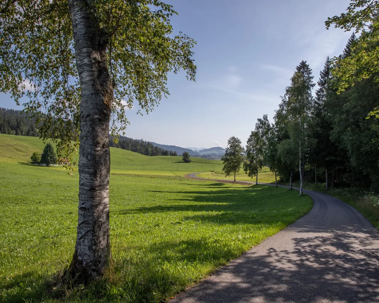 Zürich–Einsiedeln Bike, Stage 2/2