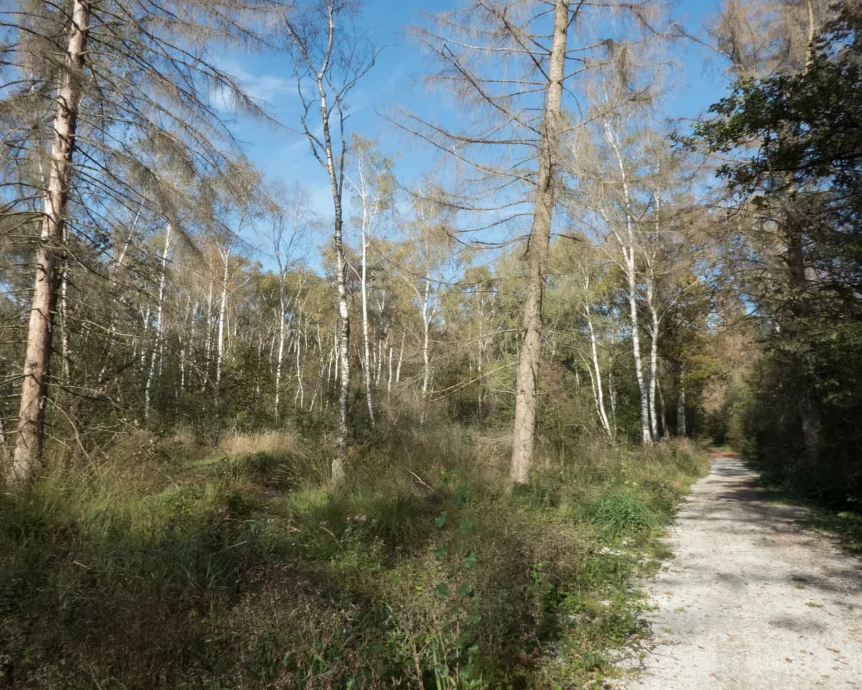 Chemin des Trois-Lacs, Stage 3/3