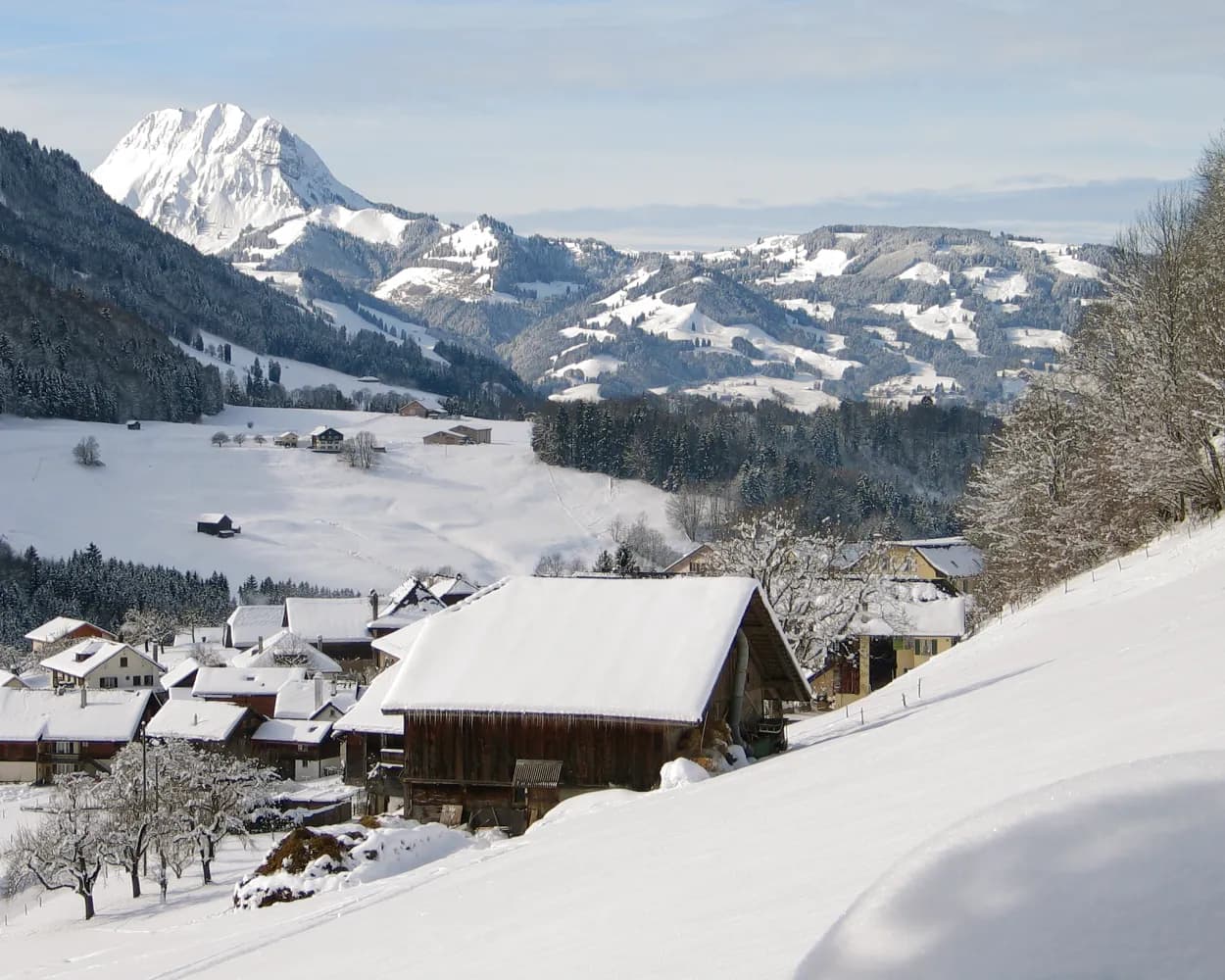 Parcours de la Monse