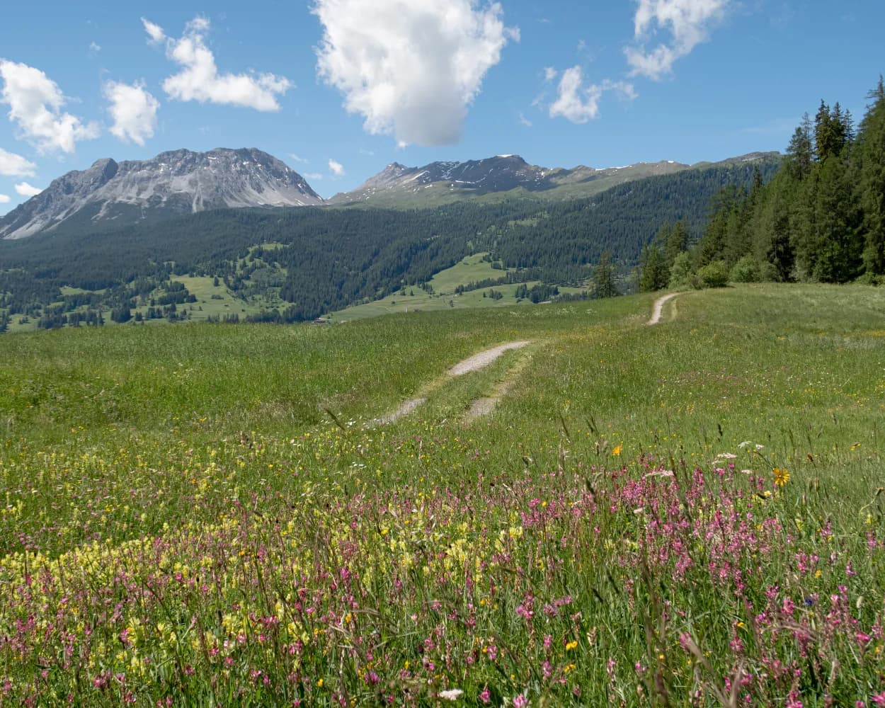 Senda Crap la Tretscha