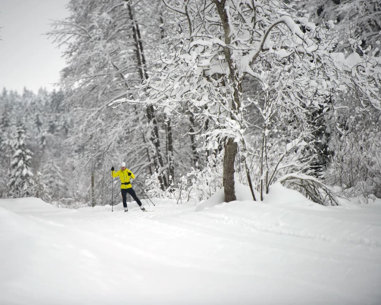 Nordic Région Gibloux