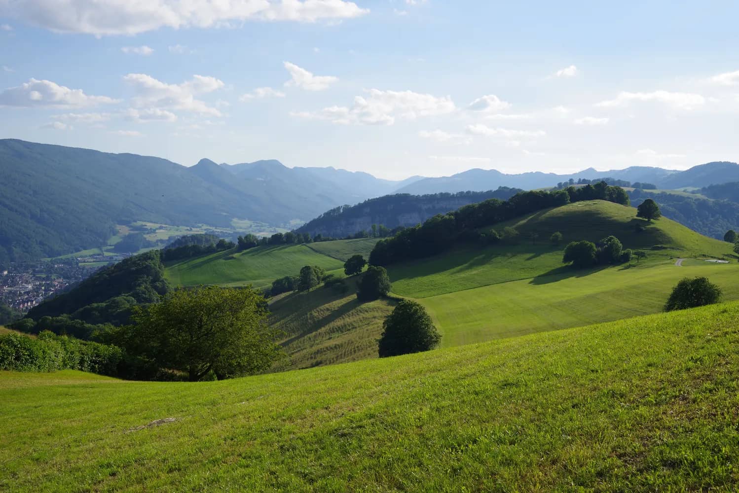 Parc naturel du Thal