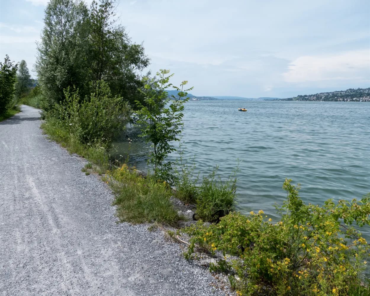 Wädenswiler-Seeuferweg