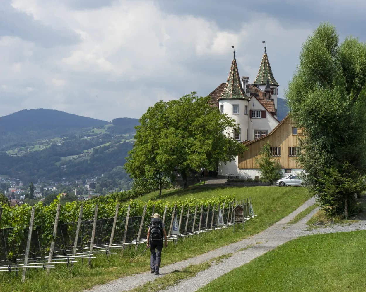 Rheintaler Höhenweg, Stage 2/6