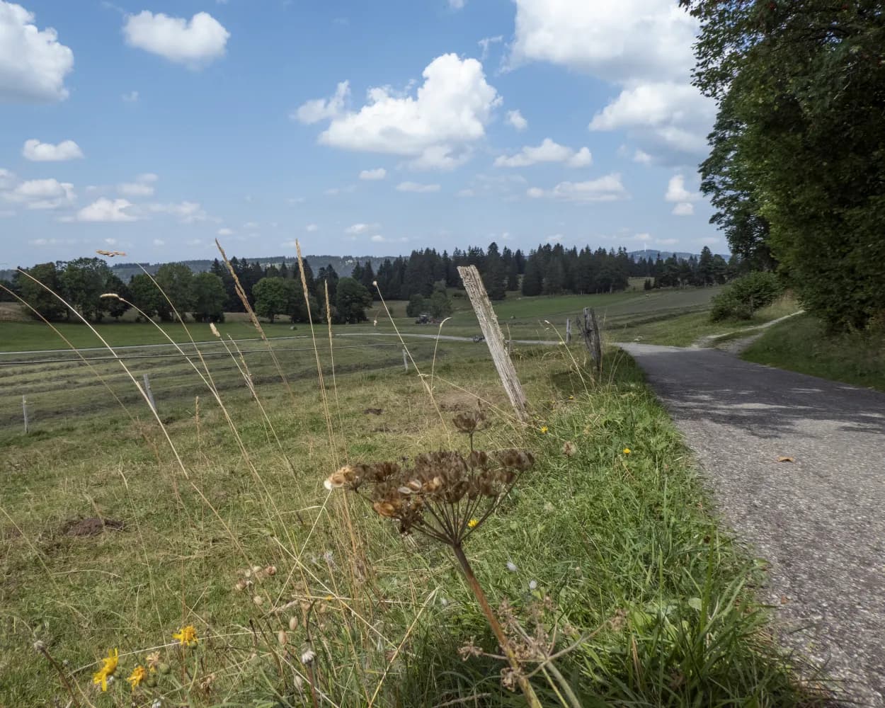 Trans Swiss Trail, Etappe 5/32