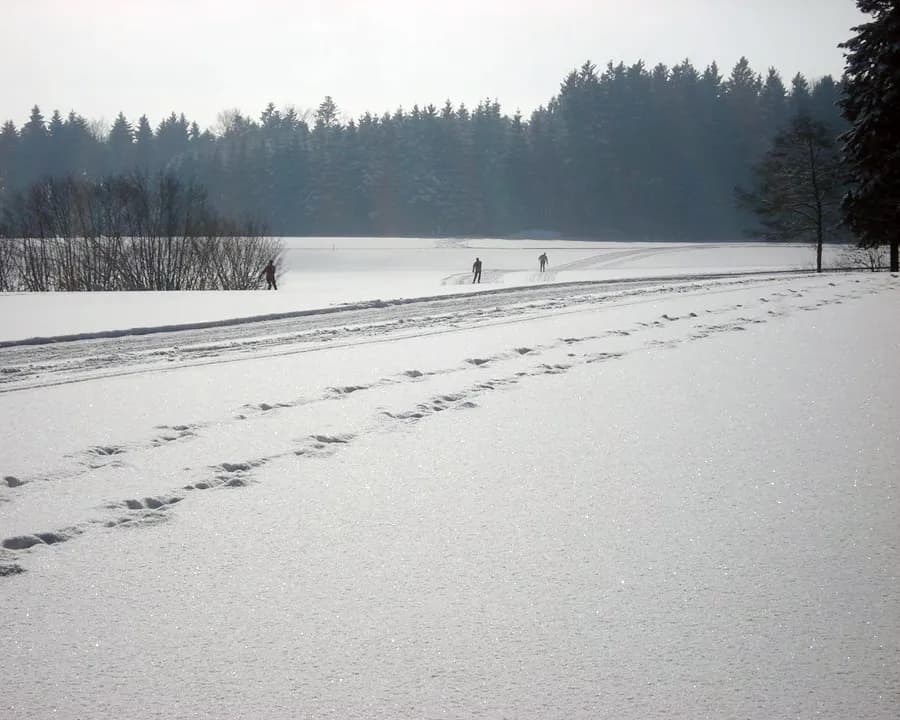 Loipe Herlisberg-Römerswil
