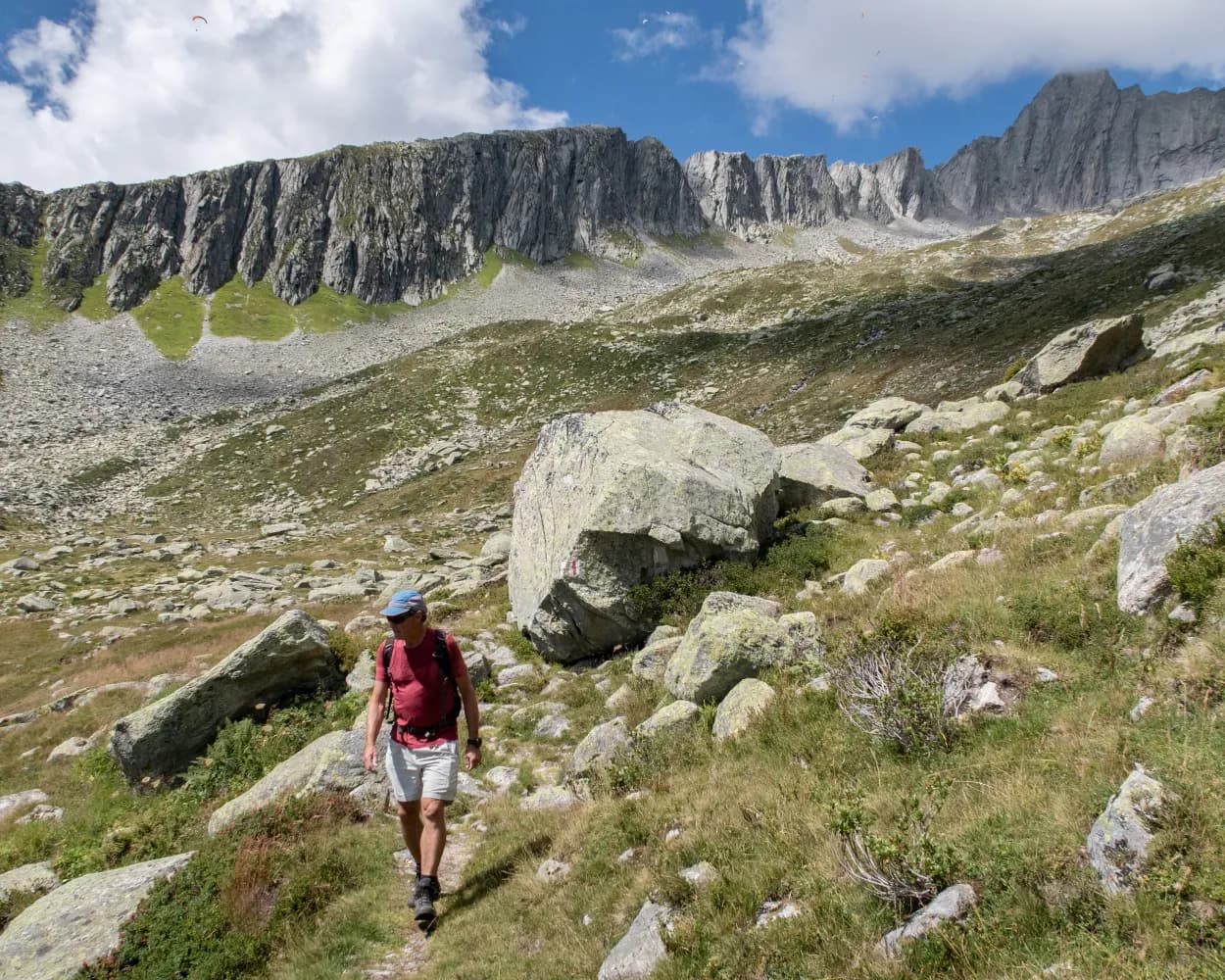 Senda Lag Crest Ault