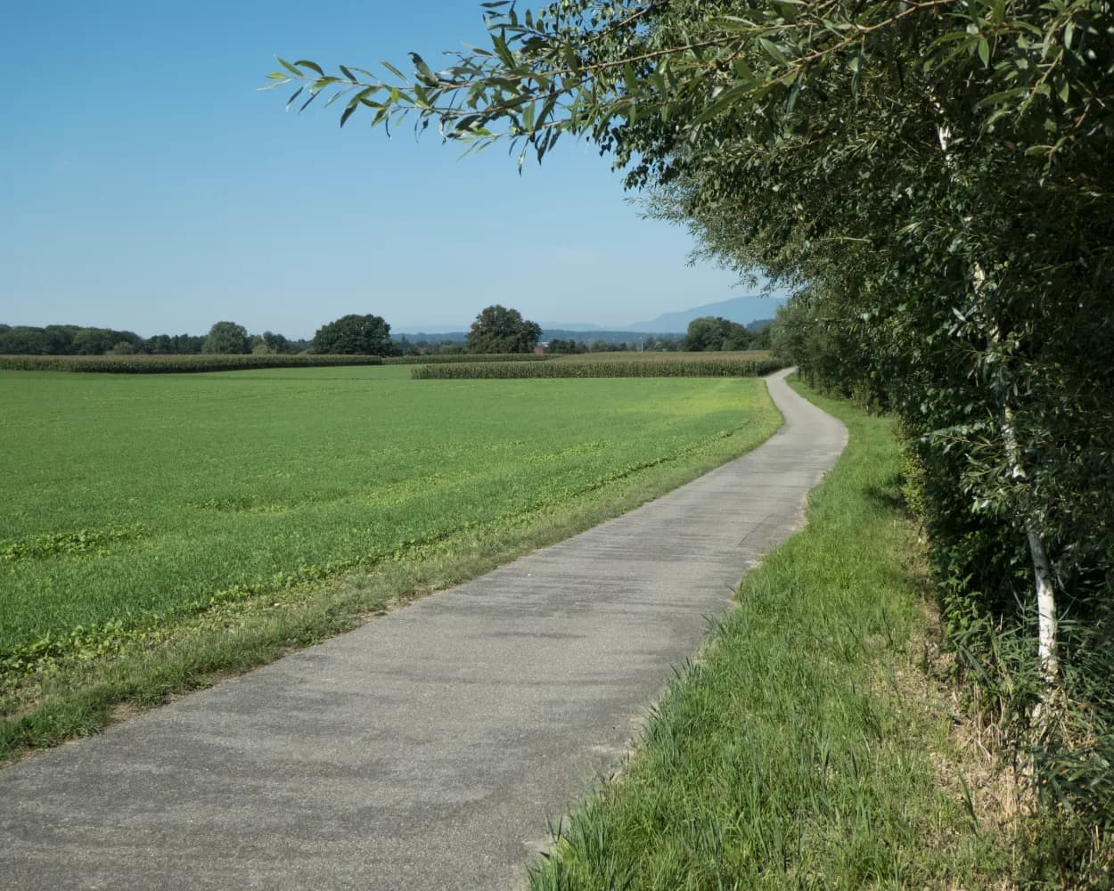 Wasseramt-Route