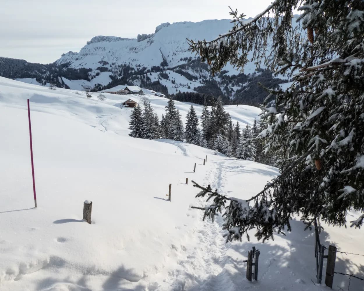 Marbachegg–Kreuzegg Trail