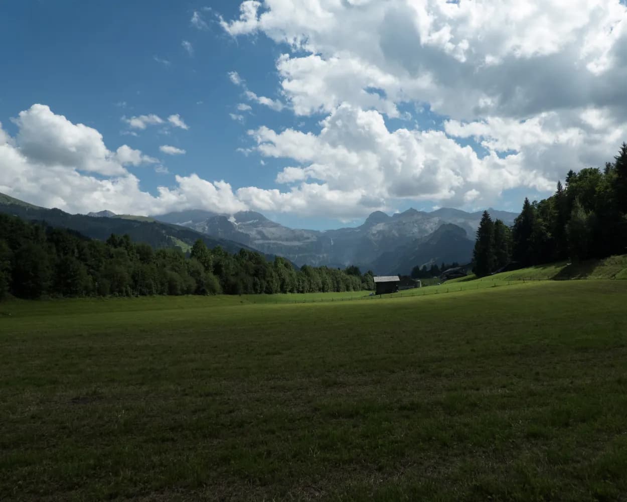 Alpine Bike, Stage 14/16