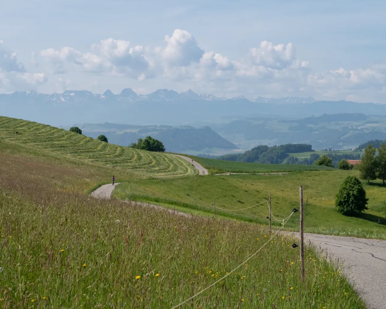 Herzschlaufe Burgdorf