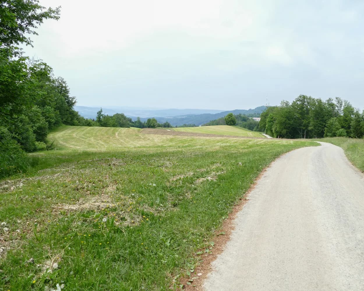 Albisgrat-Höhenweg