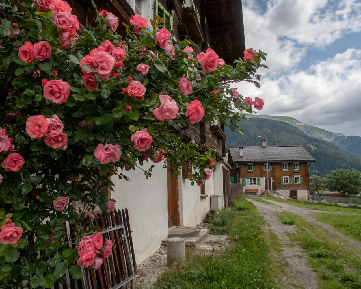 Senda Sursilvana, Stage 2/5