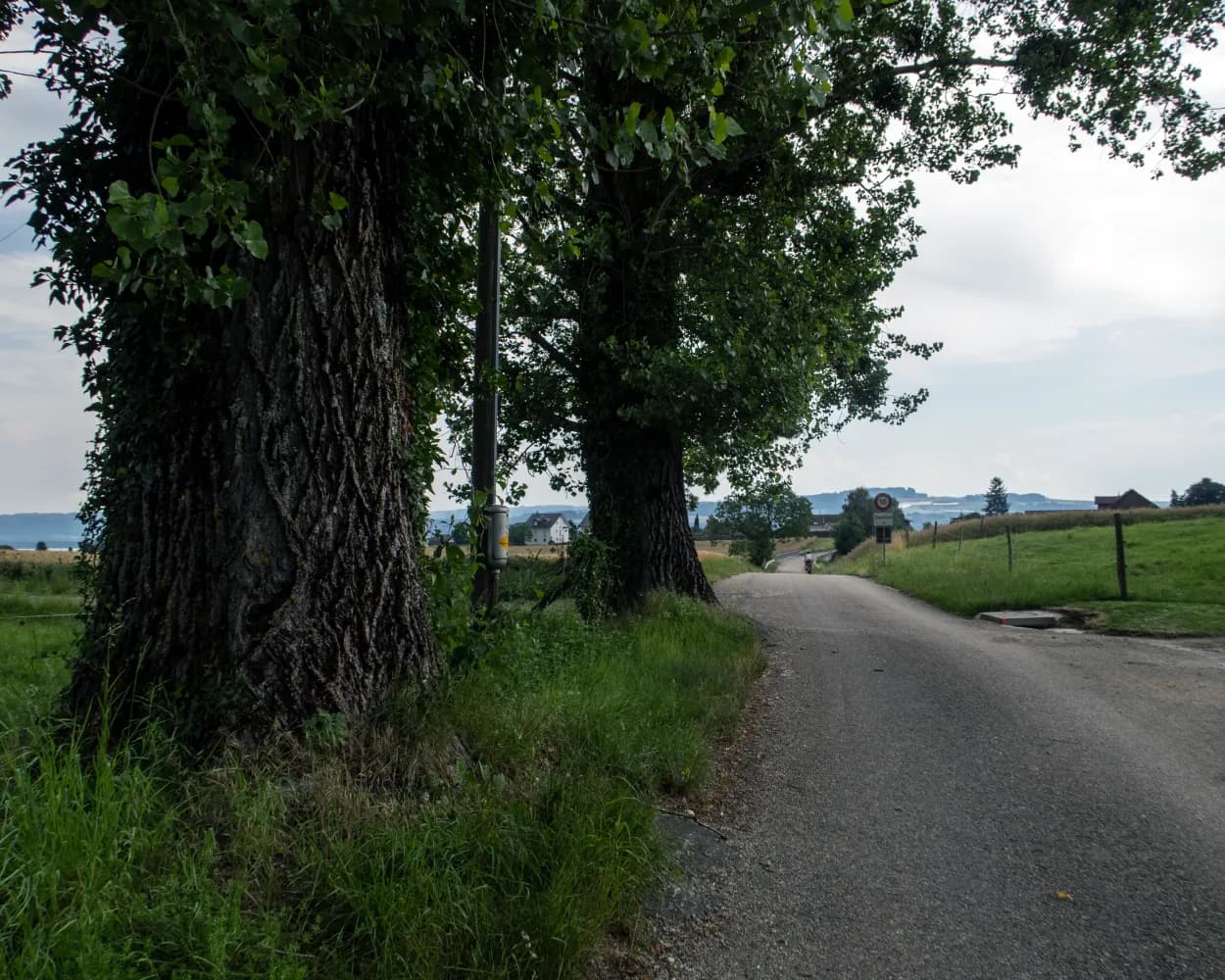 Route du Vignoble de Bonvillars