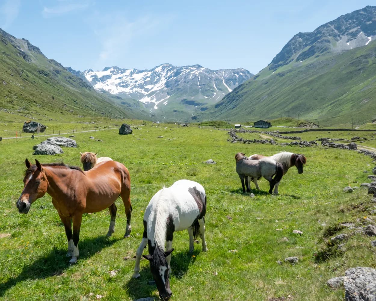 Jakobsweg Graubünden, Stage 9/18