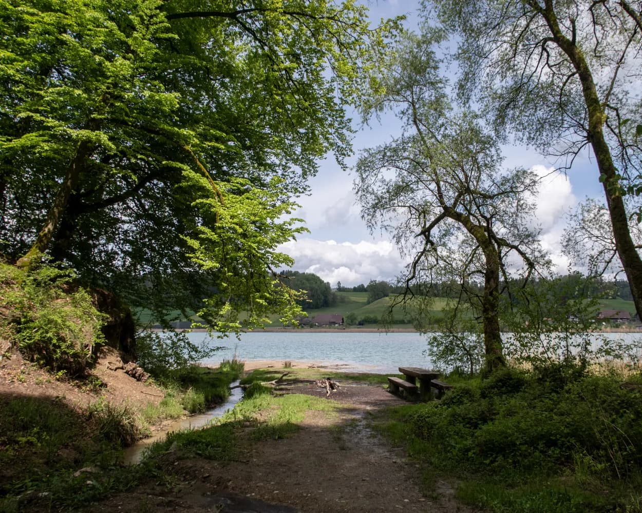 ViaBerna, Stage 8/20