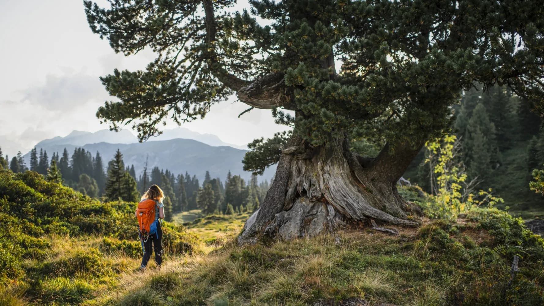 Via Alpina, Stage 8/20