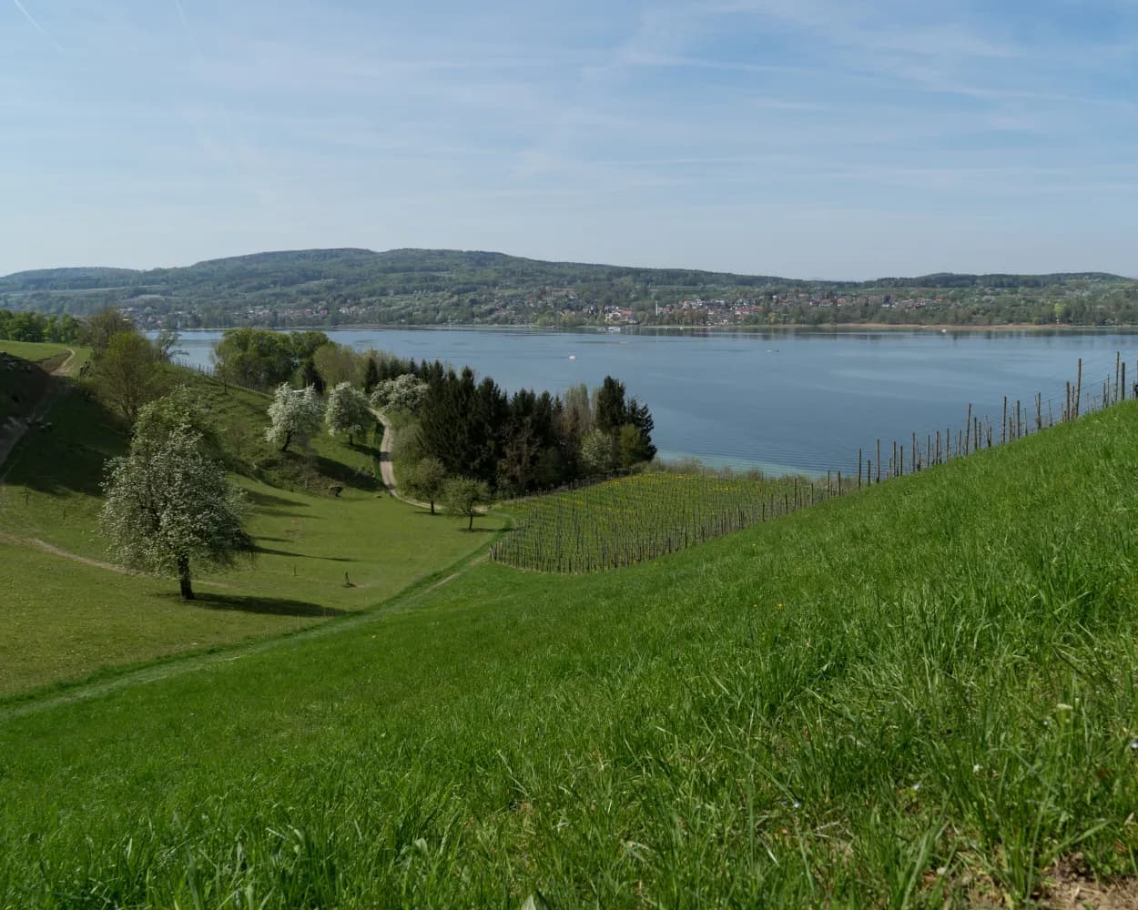 ViaRhenana, Tappa 1/10