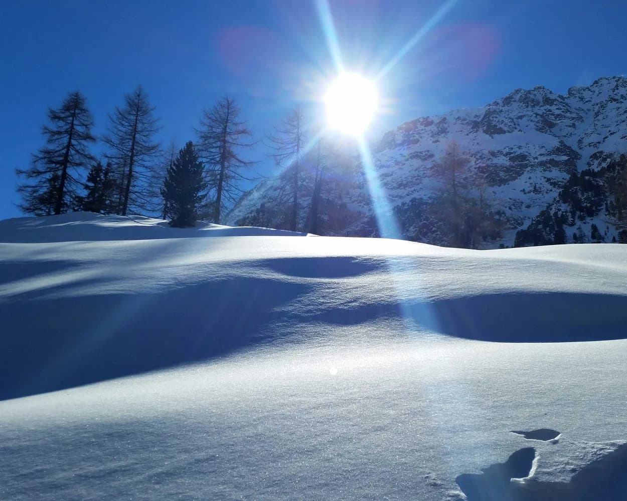 Palpuogna-Schneeschuhtrail