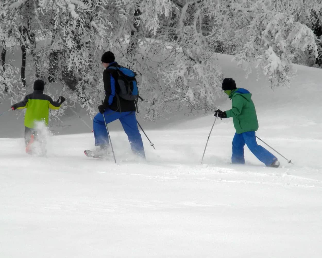 Fuchsboden Trail