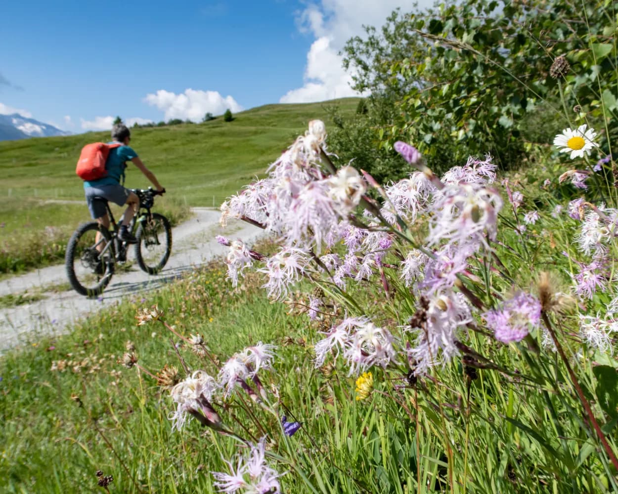 Alpine Bike, Stage 8/16
