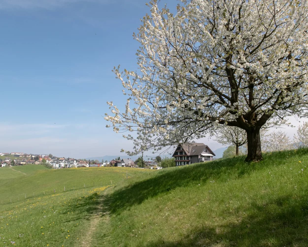 Alpine Panorama Trail, Stage 10/29