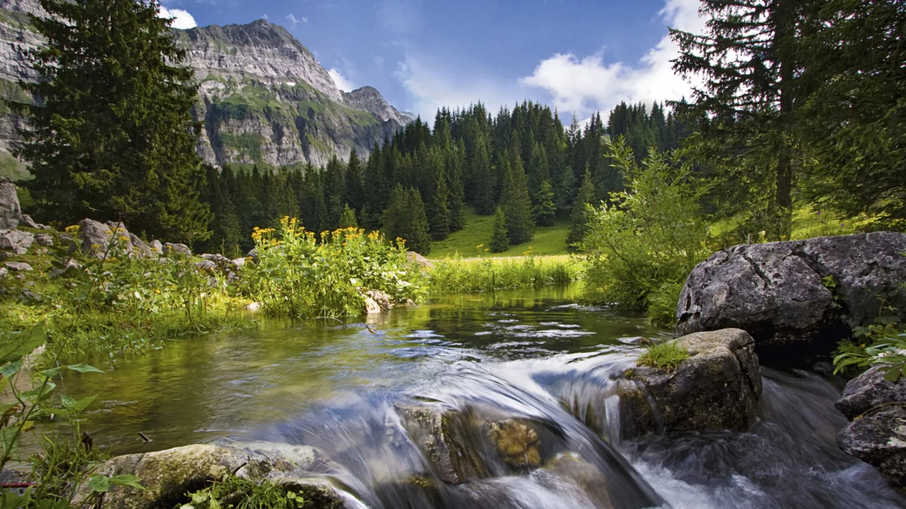 Appenzeller Alpenweg, Stage 2/2