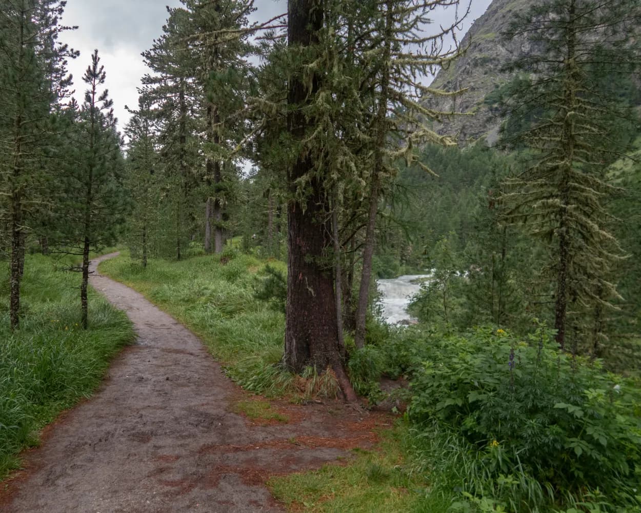 Bernina-Tour, Stage 4/5