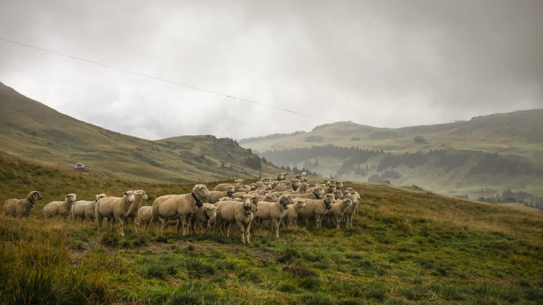 Via Alpina, Tappa 16/20