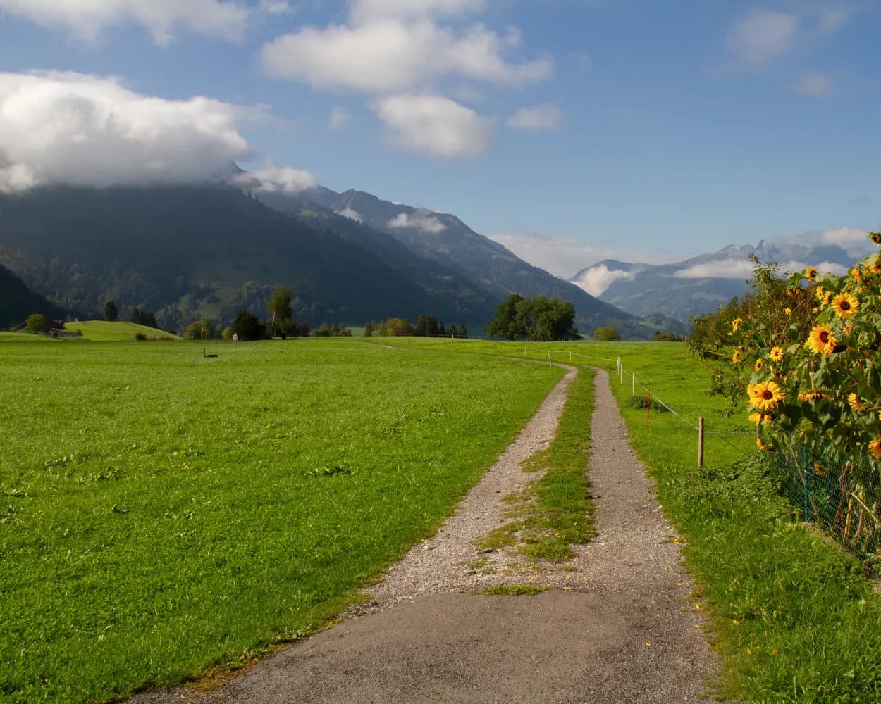 ViaJacobi, Stage 7/33