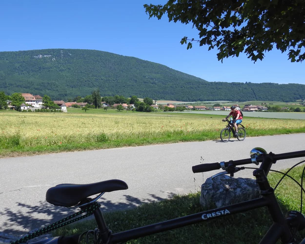 Route du Pied du Jura