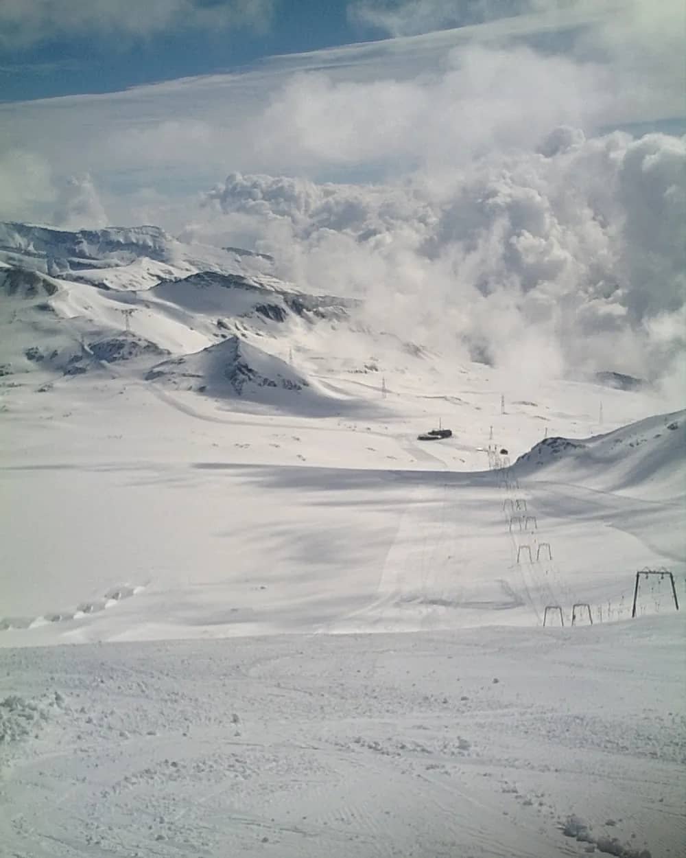 LAAX
