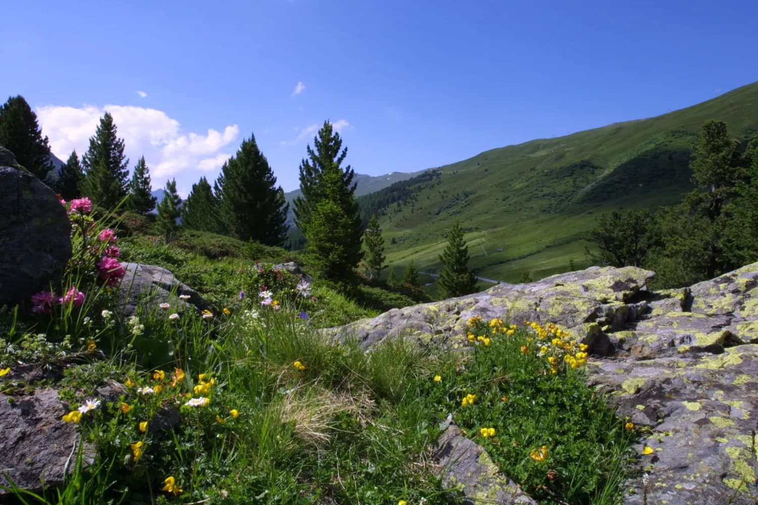 Flüela-Schwarzhorn-Weg
