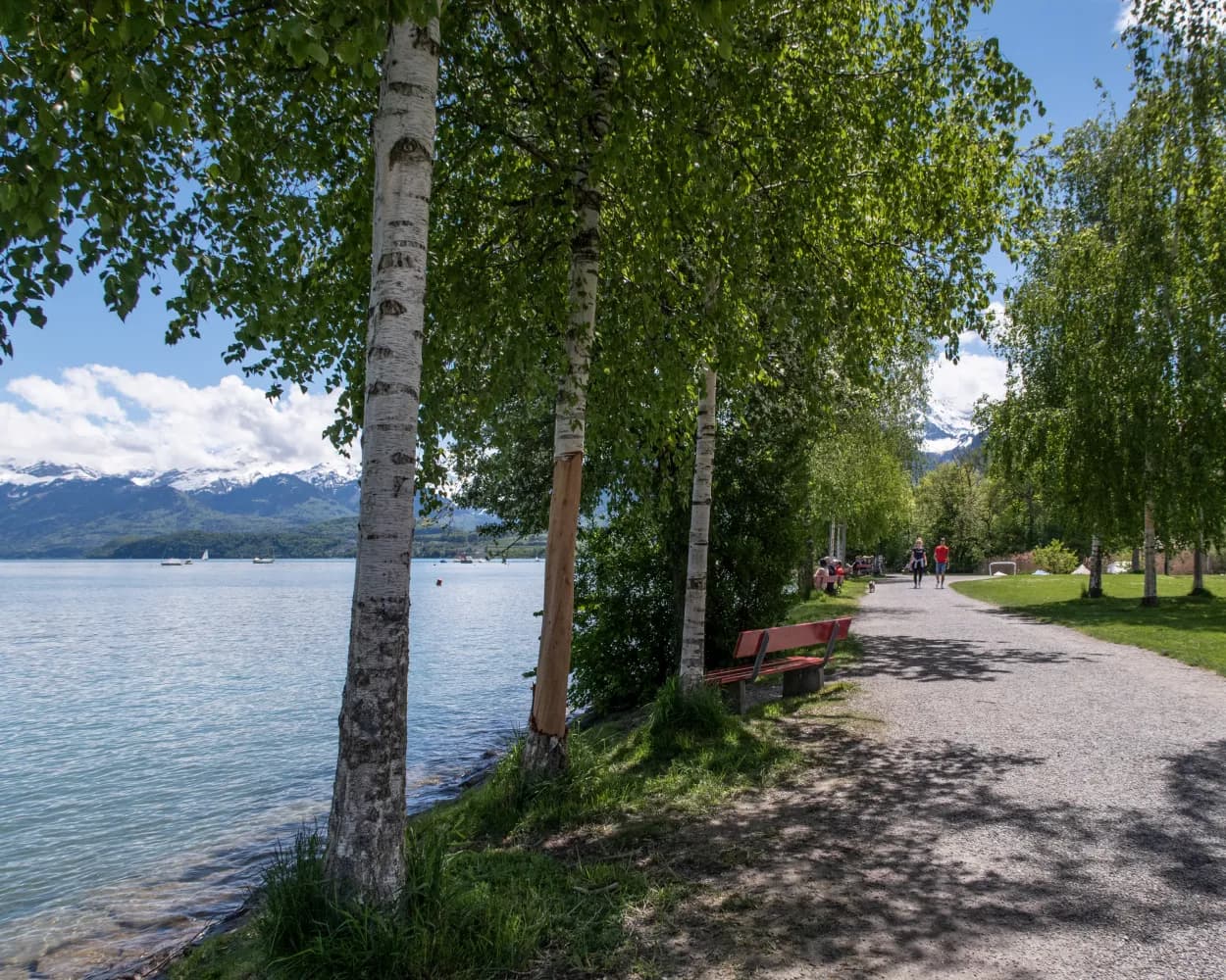 ViaBerna, Stage 11/20