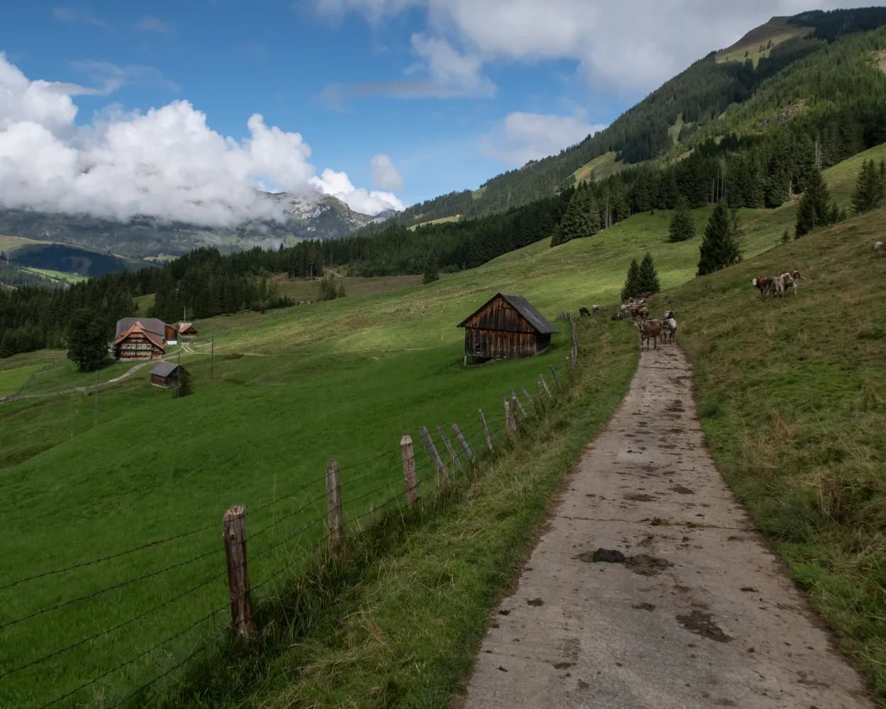 Trans Swiss Trail, Stage 16/32