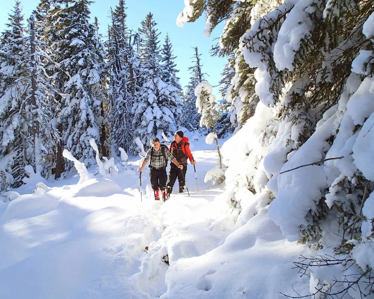 Jänzi Trail