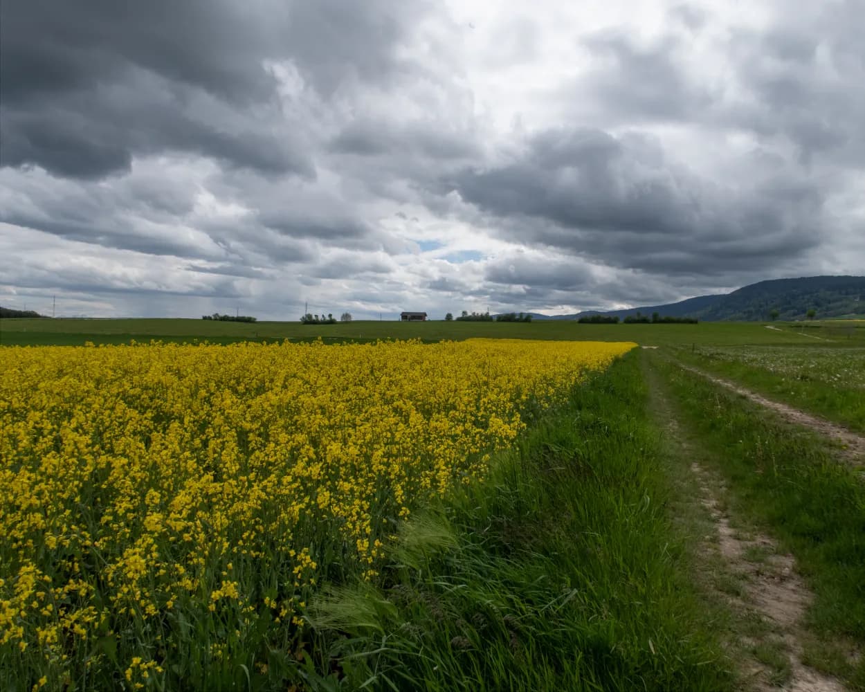 Trans Swiss Trail, Stage 6/32