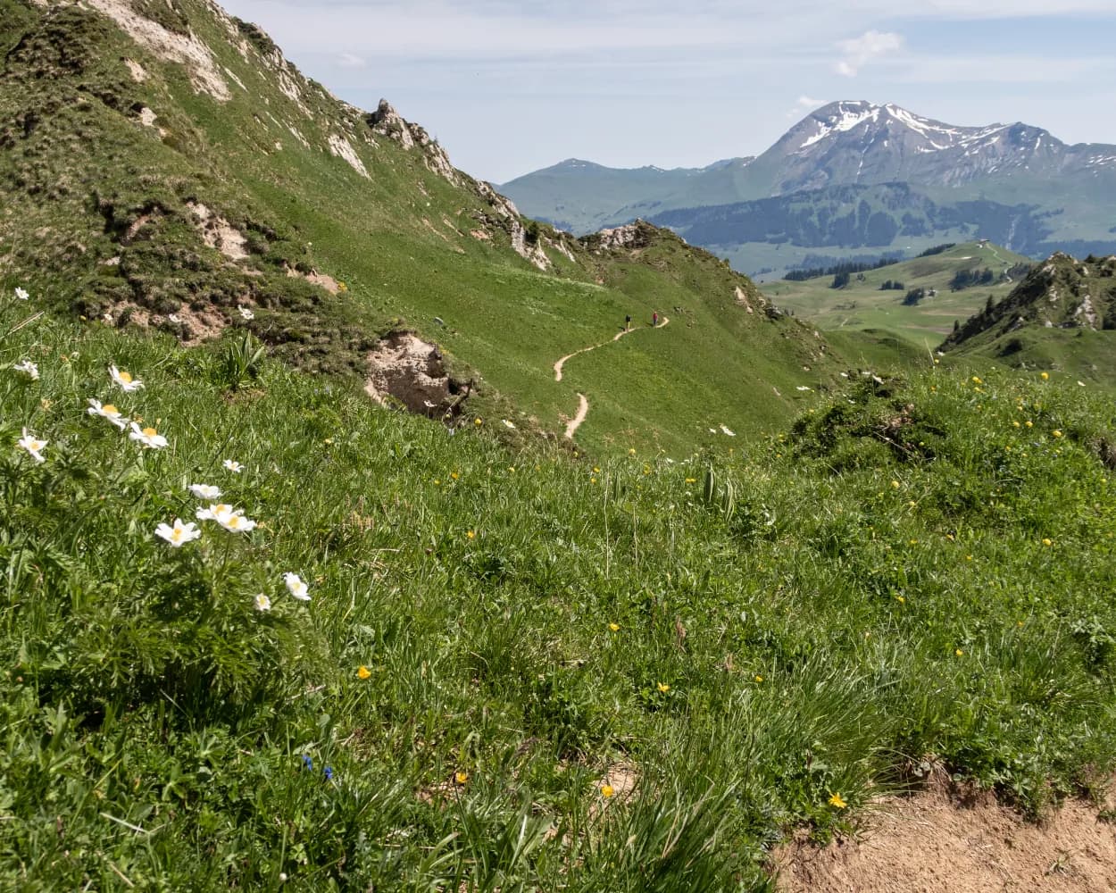 Höhenrundweg Gryden
