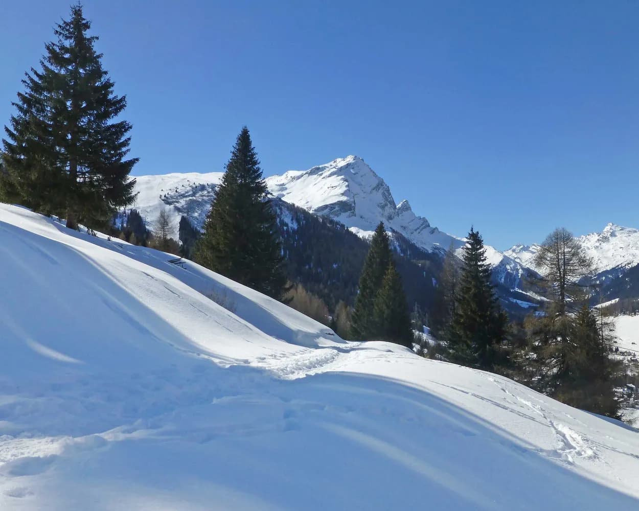 Panell-Schneeschuhtrail