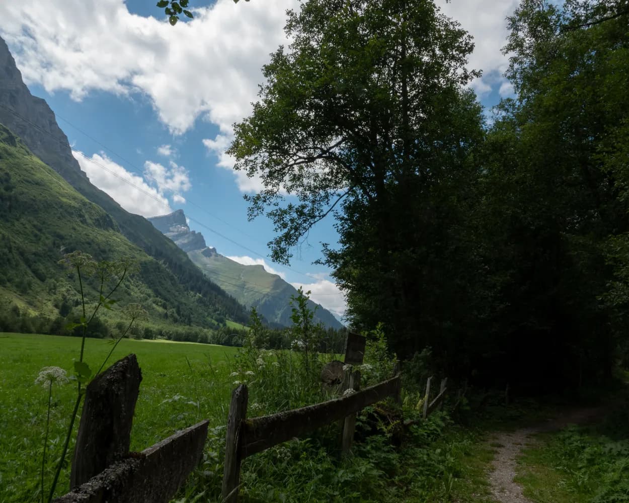 Rheinwald Route