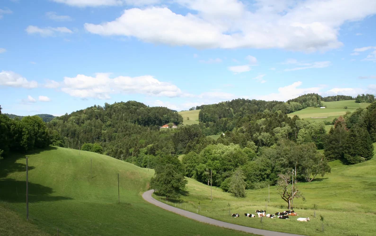 Zürioberland
