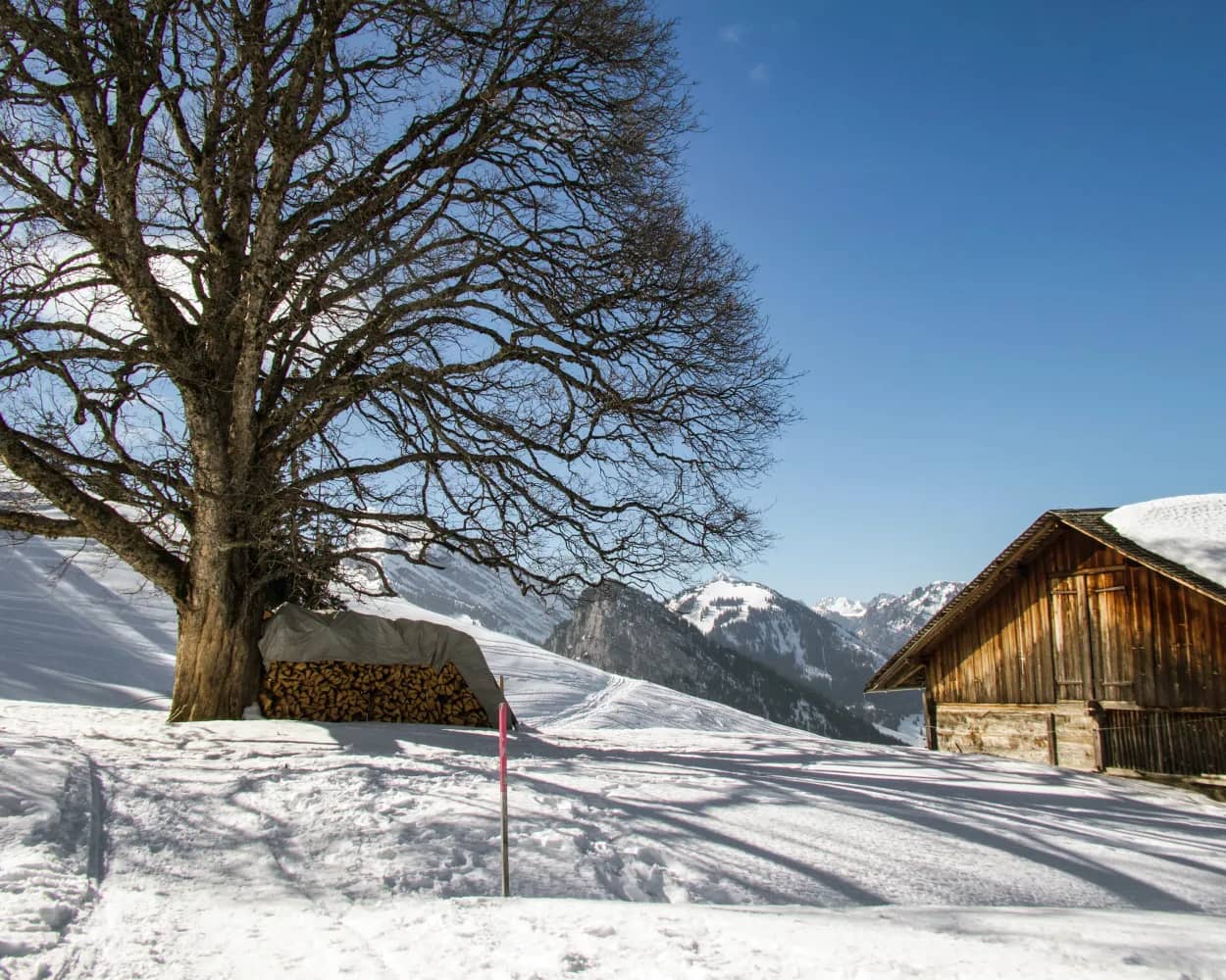 Winterwanderweg Springenboden