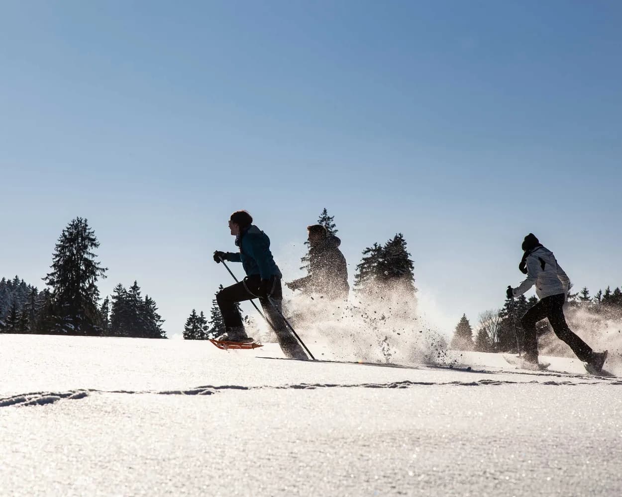 Parcours du Mont Châteleu