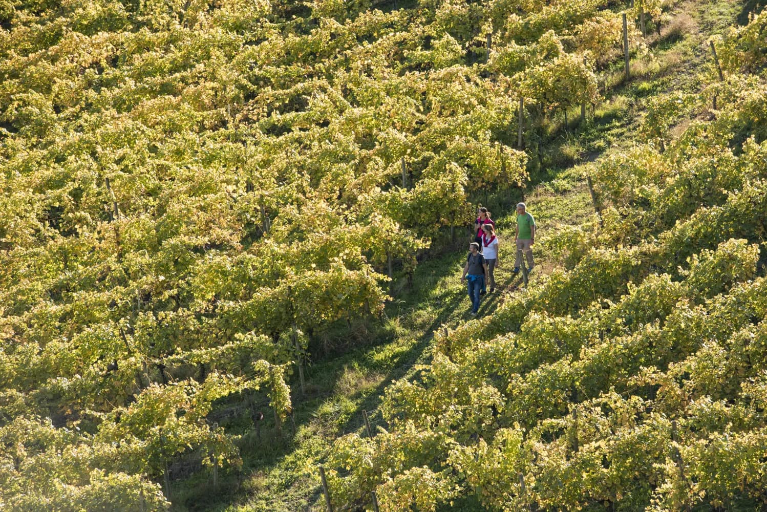 Sentier historique du Vully