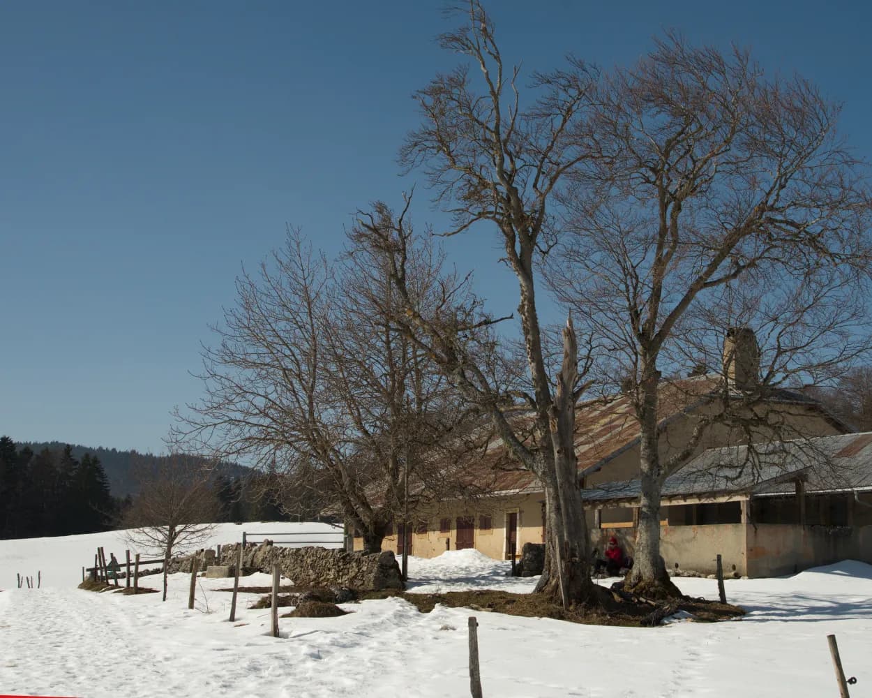 Chemin Col du Mollendruz–Vernant