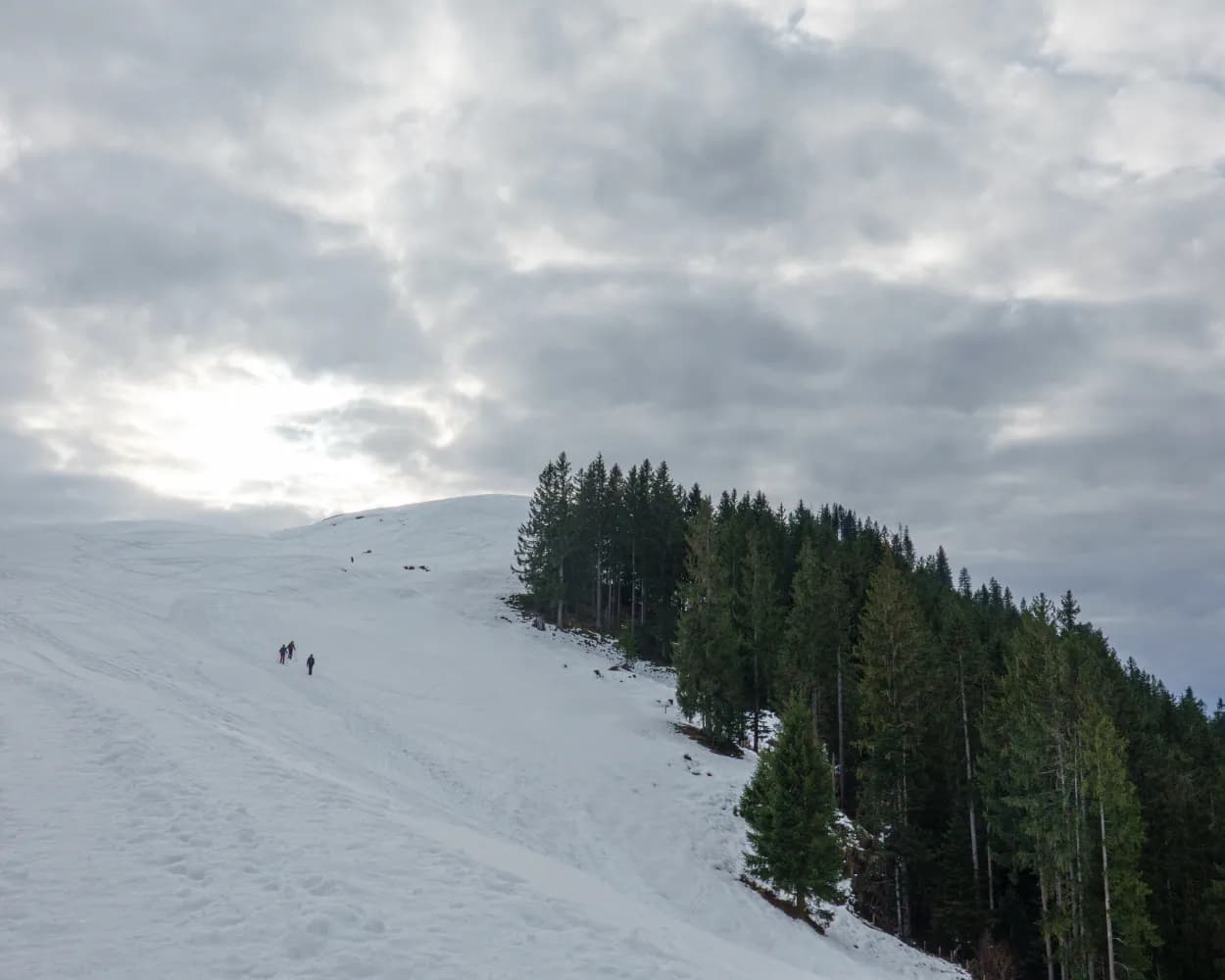 Schneeschuhtrail First