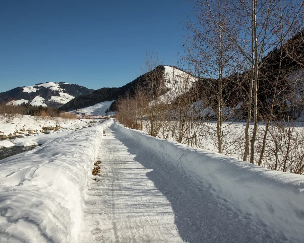 Schützenried-Rundweg